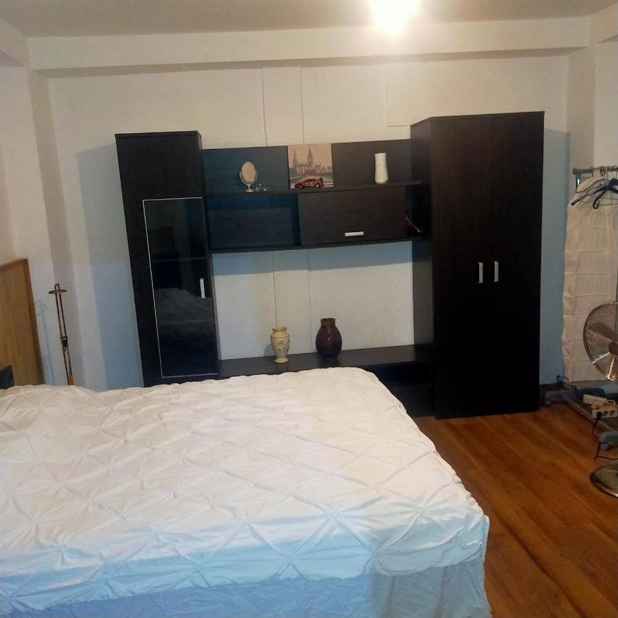 Vila Elena Ap 1 Bucharest Luaran gambar