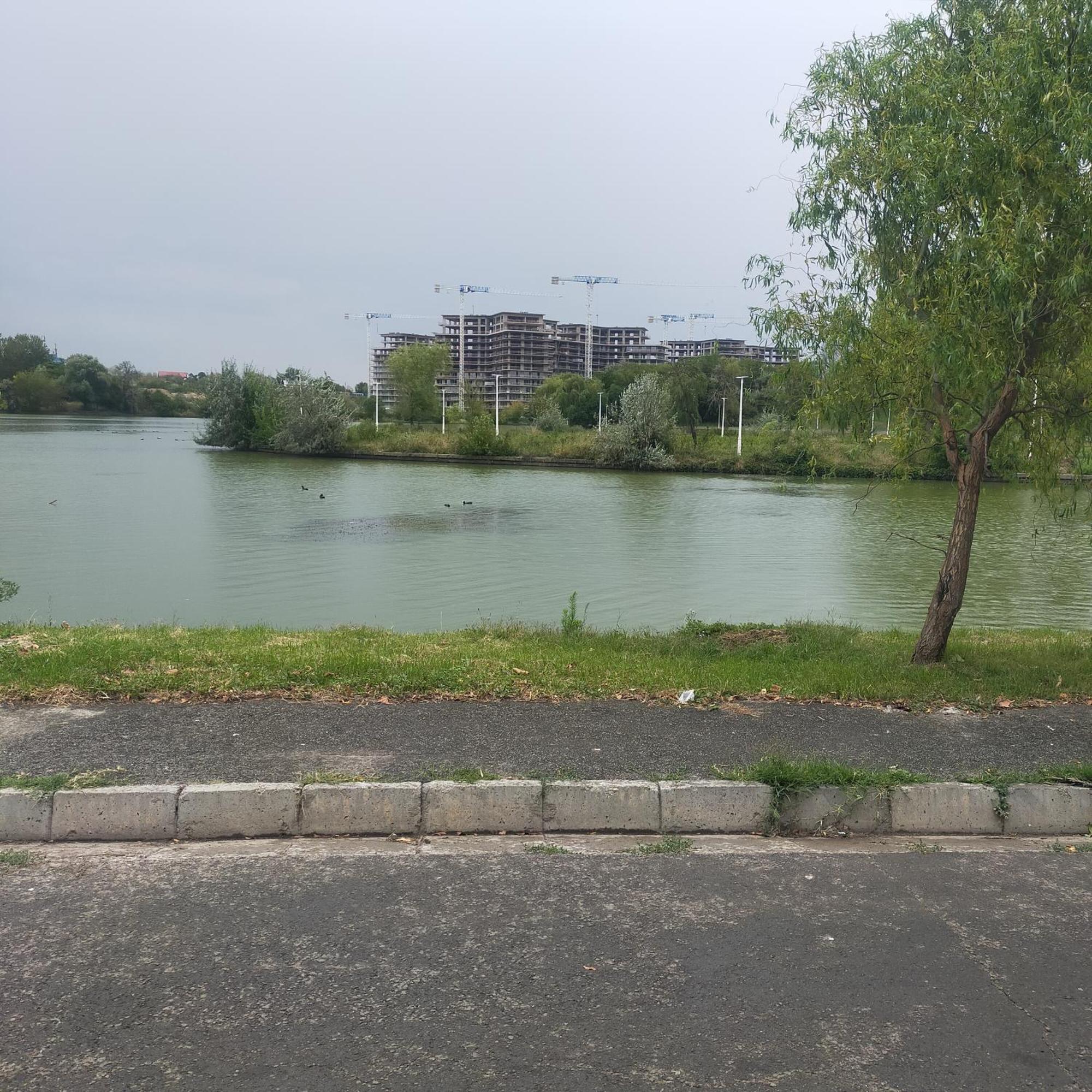 Vila Elena Ap 1 Bucharest Luaran gambar