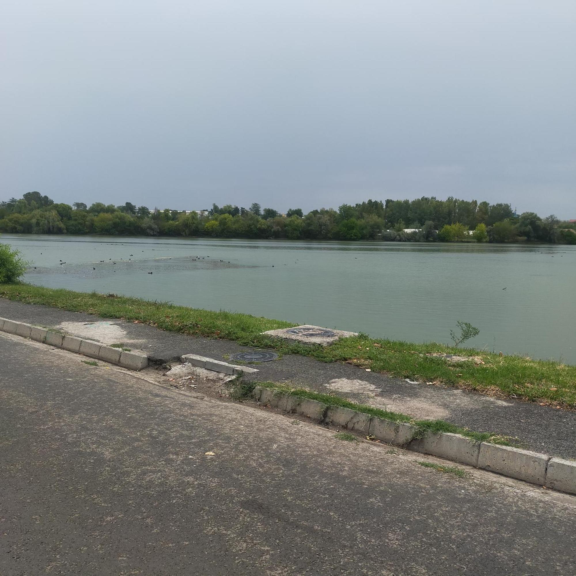 Vila Elena Ap 1 Bucharest Luaran gambar